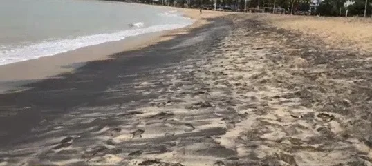 Mancha preta na areia da Praia de Camburi assusta banhistas