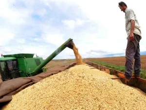 RS abre oficialmente o plantio da soja