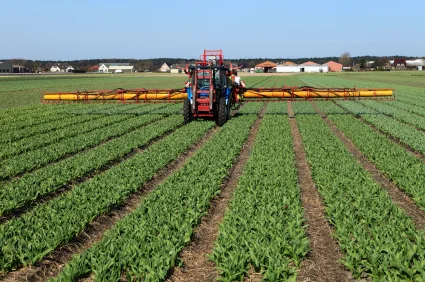 agricultural machinery spraying the bulb fields with pesticides