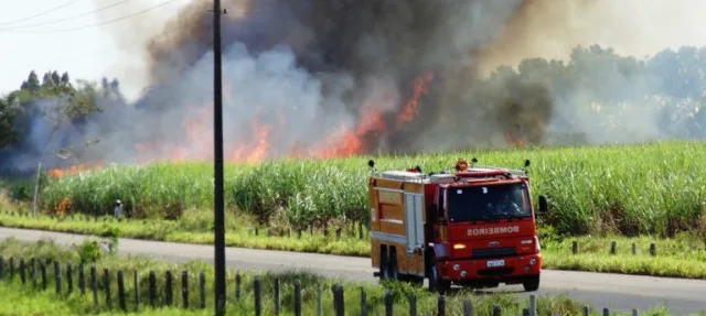 Incêndio destrói mais de 50 hectares de plantação de cana-de-açúcar em Linhares