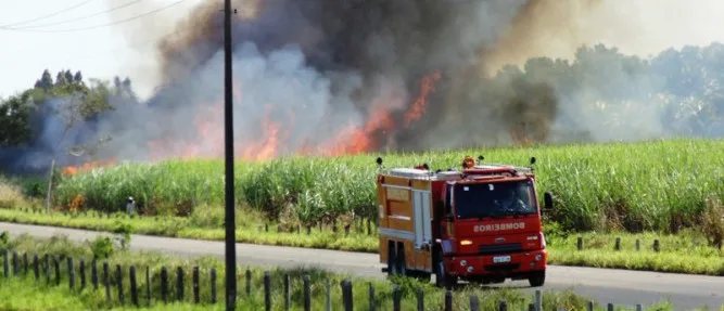 Incêndio destrói mais de 50 hectares de plantação de cana-de-açúcar em Linhares