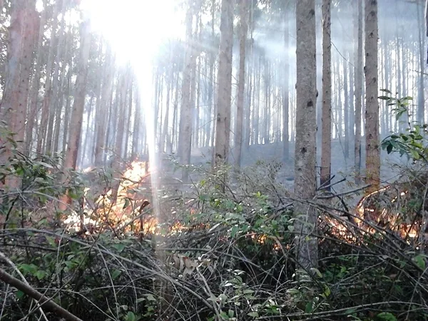 Incêndio em parque de Domingos Martins continua e área queimada ultrapassa 100 campos de futebol