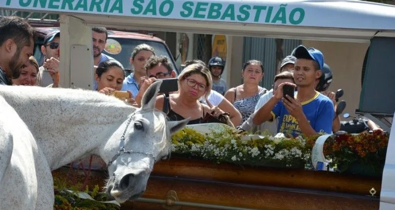 Cavalo se despede do dono durante sepultamento e causa comoção