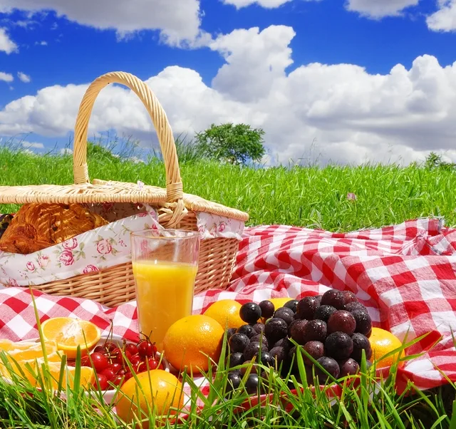 Picnic