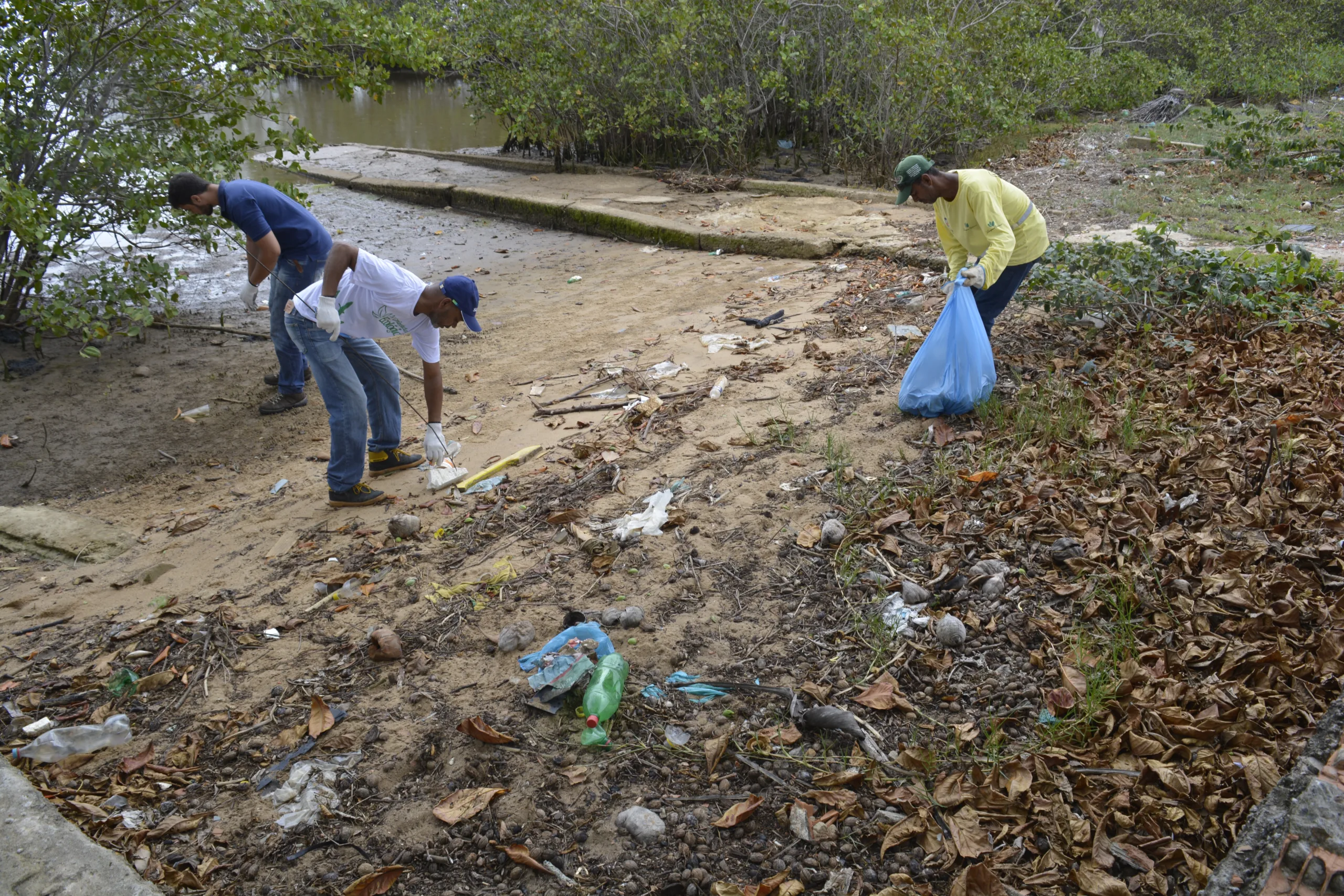 Limpeza de mangue garante a preservação do rio Itabapoana em Presidente Kennedy