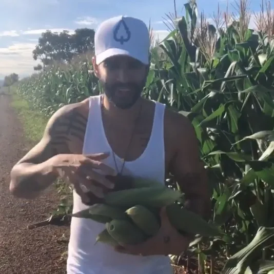 Gusttavo Lima posta vídeo roubando espigas de milho em rodovia de Goiás