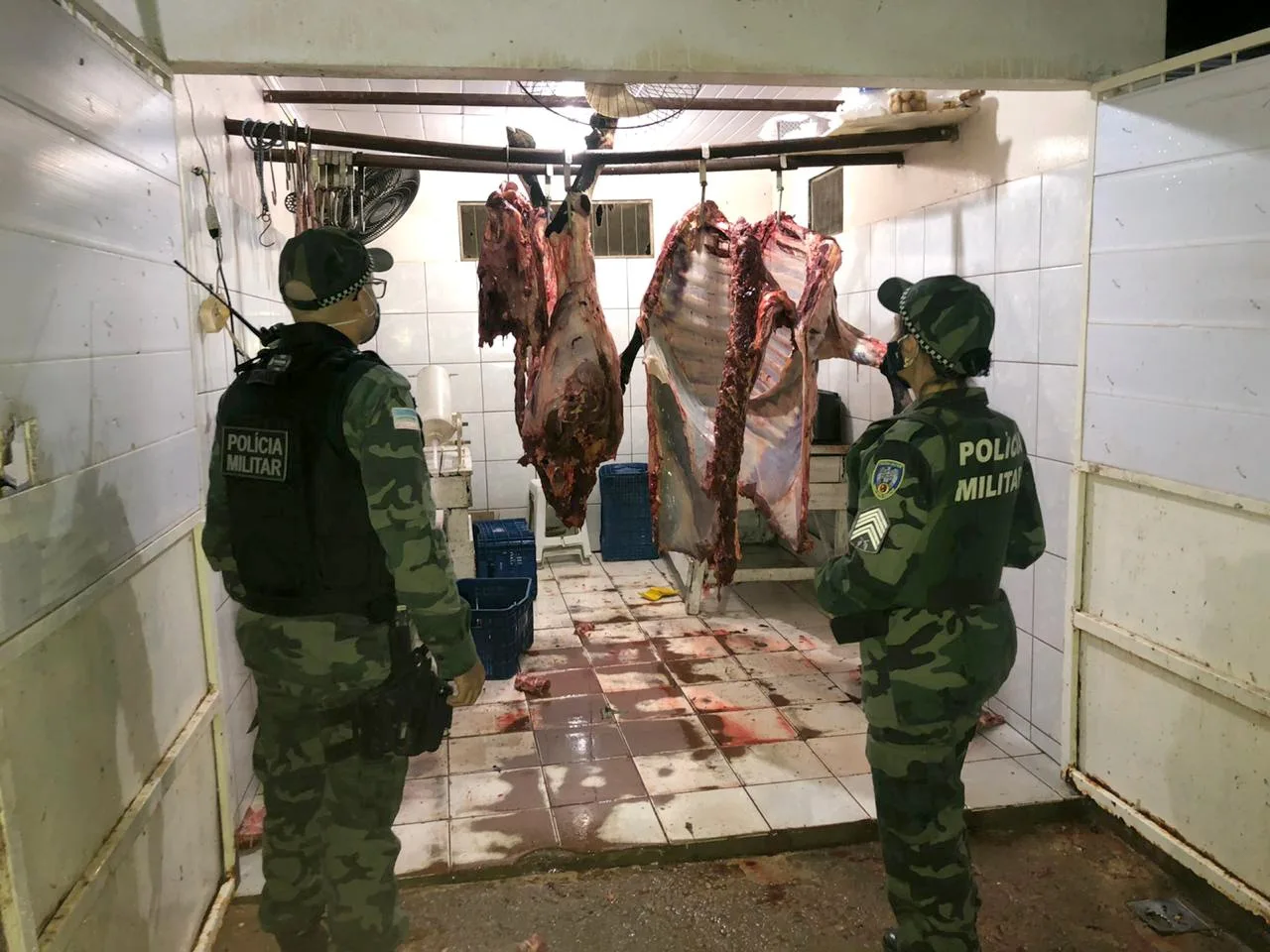 Polícia e Idaf apreendem mais de 150 kg de carne em galpão usado para abate clandestino de animais