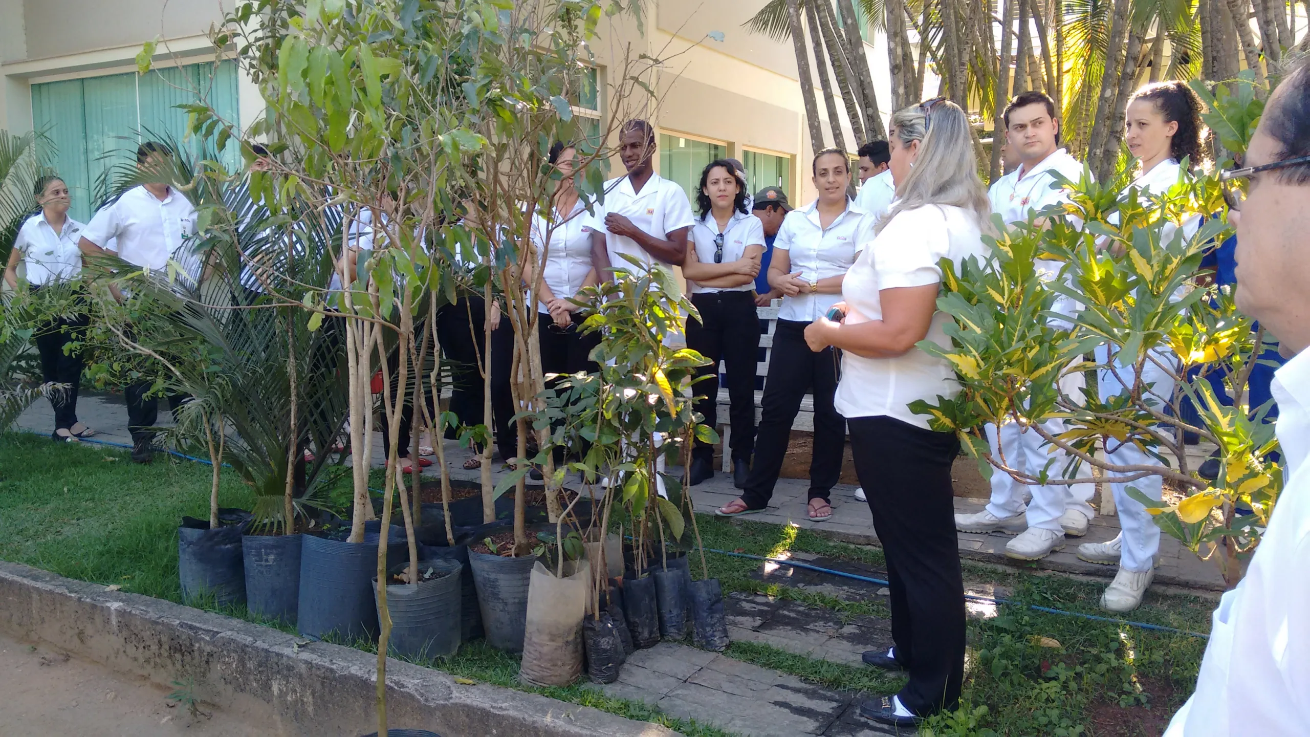 Cachoeiro ganha 350 novas árvores para proteger nascente em São Simão