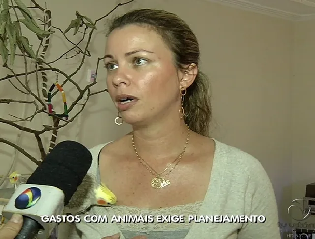 Gastos com animais de estimação podem ultrapassar R$ 600 por mês