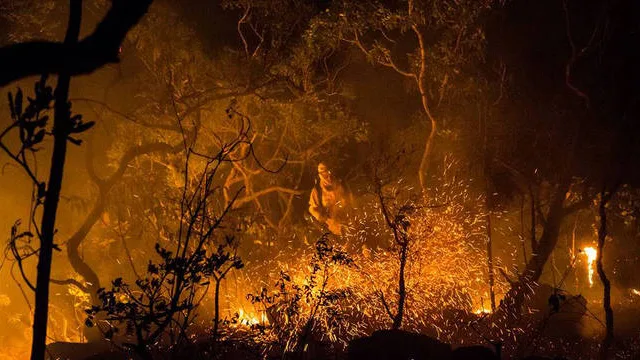 Incêndio na Chapada dos Veadeiros continua fora de controle