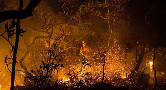 Incêndio na Chapada dos Veadeiros continua fora de controle