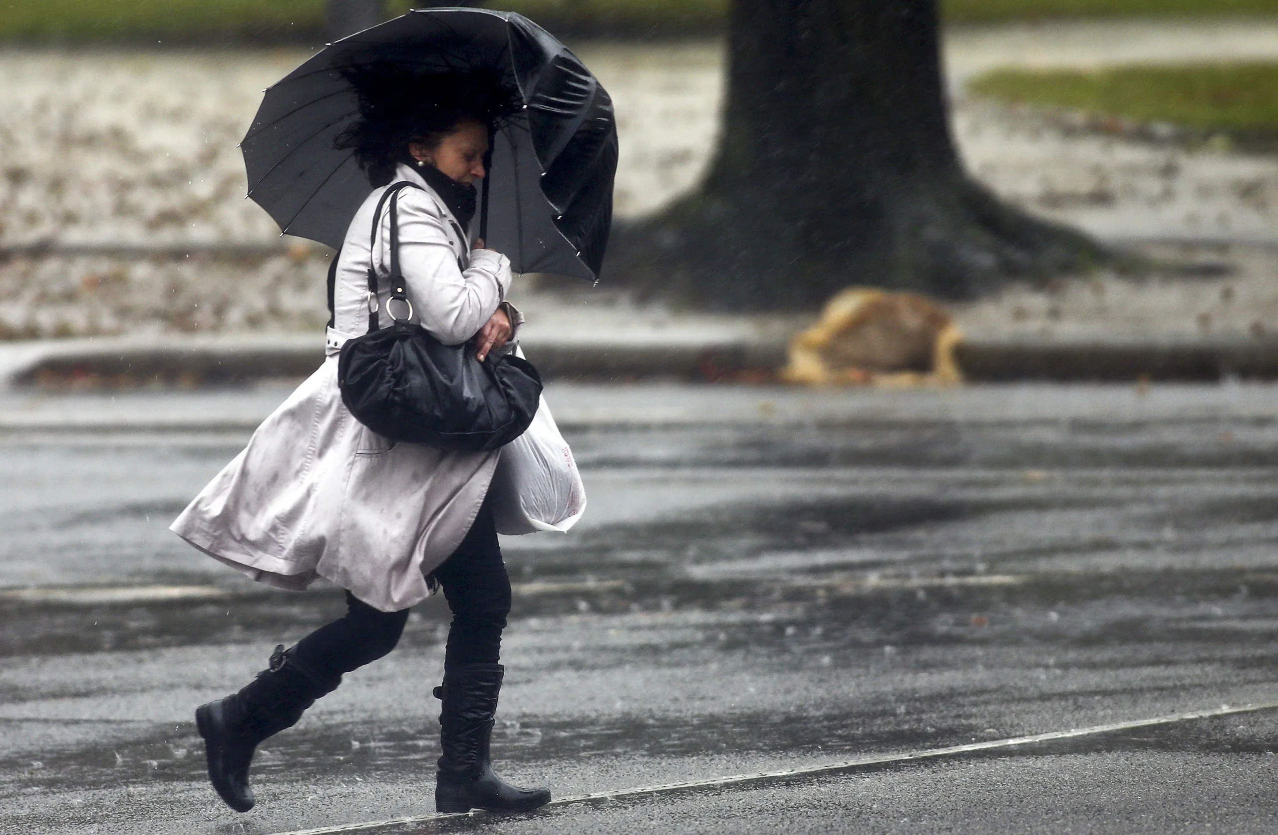 A woman protects herself under her umbrella due to the windy weather in Porto, Portugal, 24 December 2013. The National Authority for Civil Protection emitted a yellow alert for all districts of Portugal between 8 AM of today and 8 PM of Christmas Day due to strong rain and wind. JOSÉ COELHO/LUSA