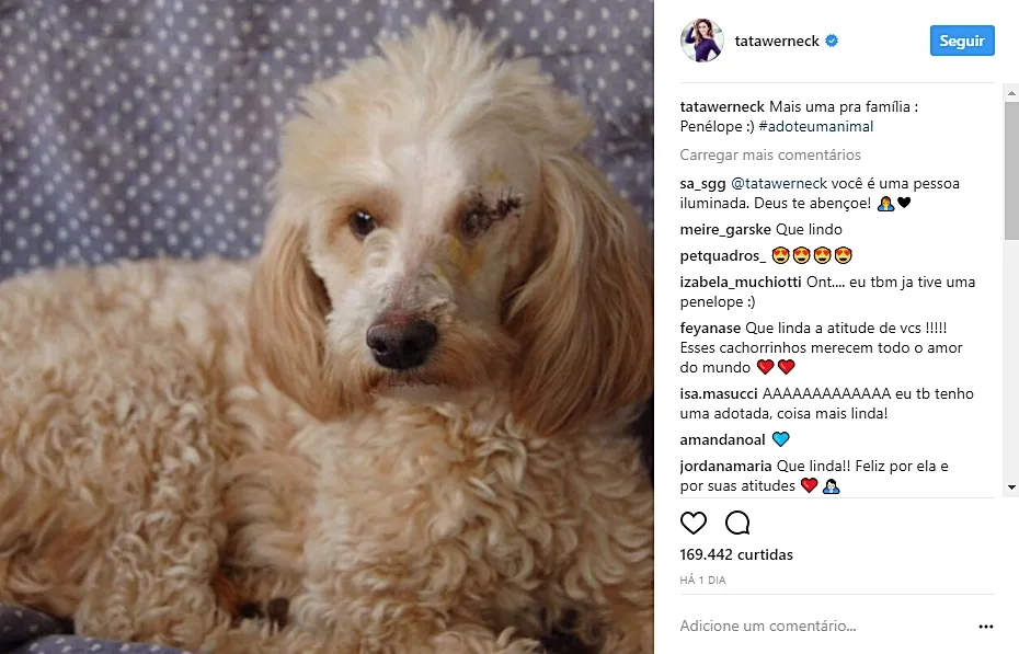 Tata Werneck e Rafael Vitti postam foto de cachorra que adotaram