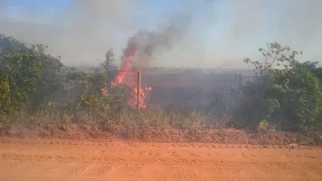 Corpo de Bombeiros controla incêndio em reserva de Linhares