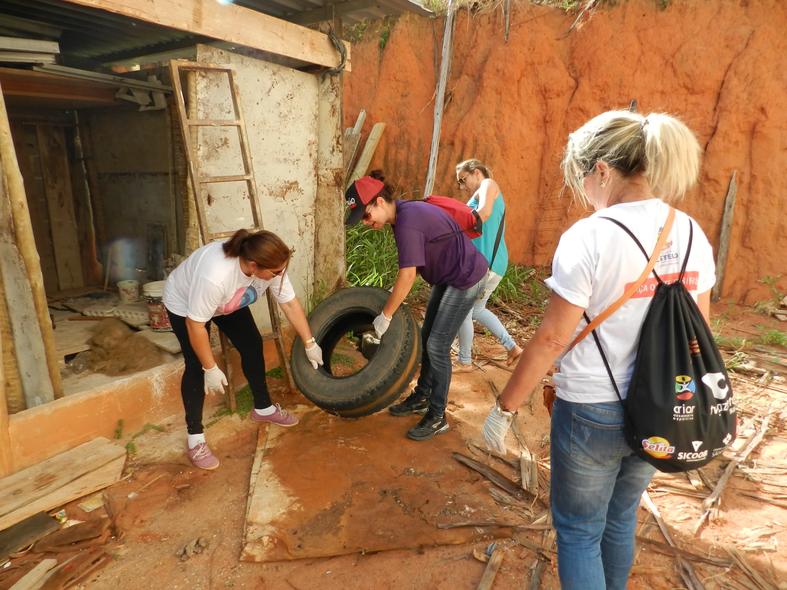 Castelo terá mutirão para combater o mosquito Aedes aegypti