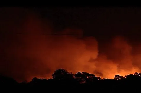 Incêndio destrói vegetação de parque estadual da Grande Vitória