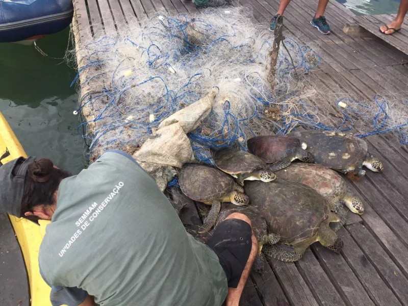 Fiscalização de pesca predatória