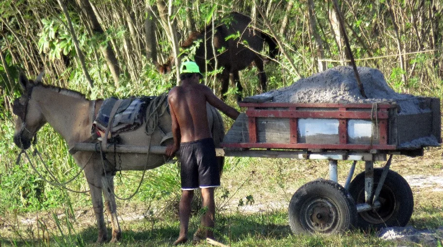 VÍDEO | Moradores flagram carroceiros fazendo extração ilegal de areia em Vila Velha