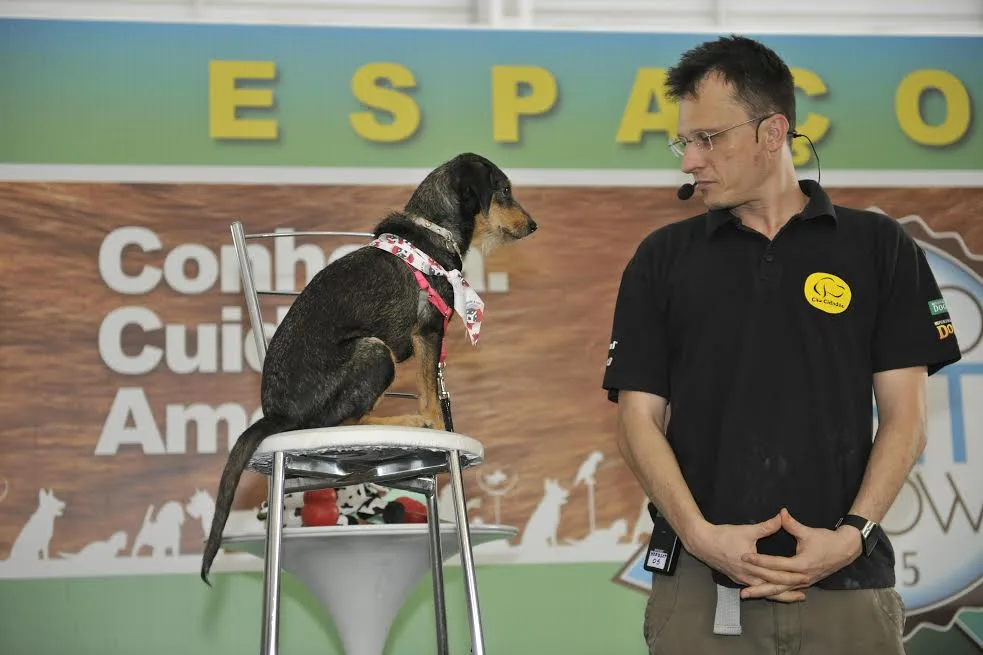 Cadela Estopinha e novidades do mundo pet marcam primeiro dia de feira em Vitória