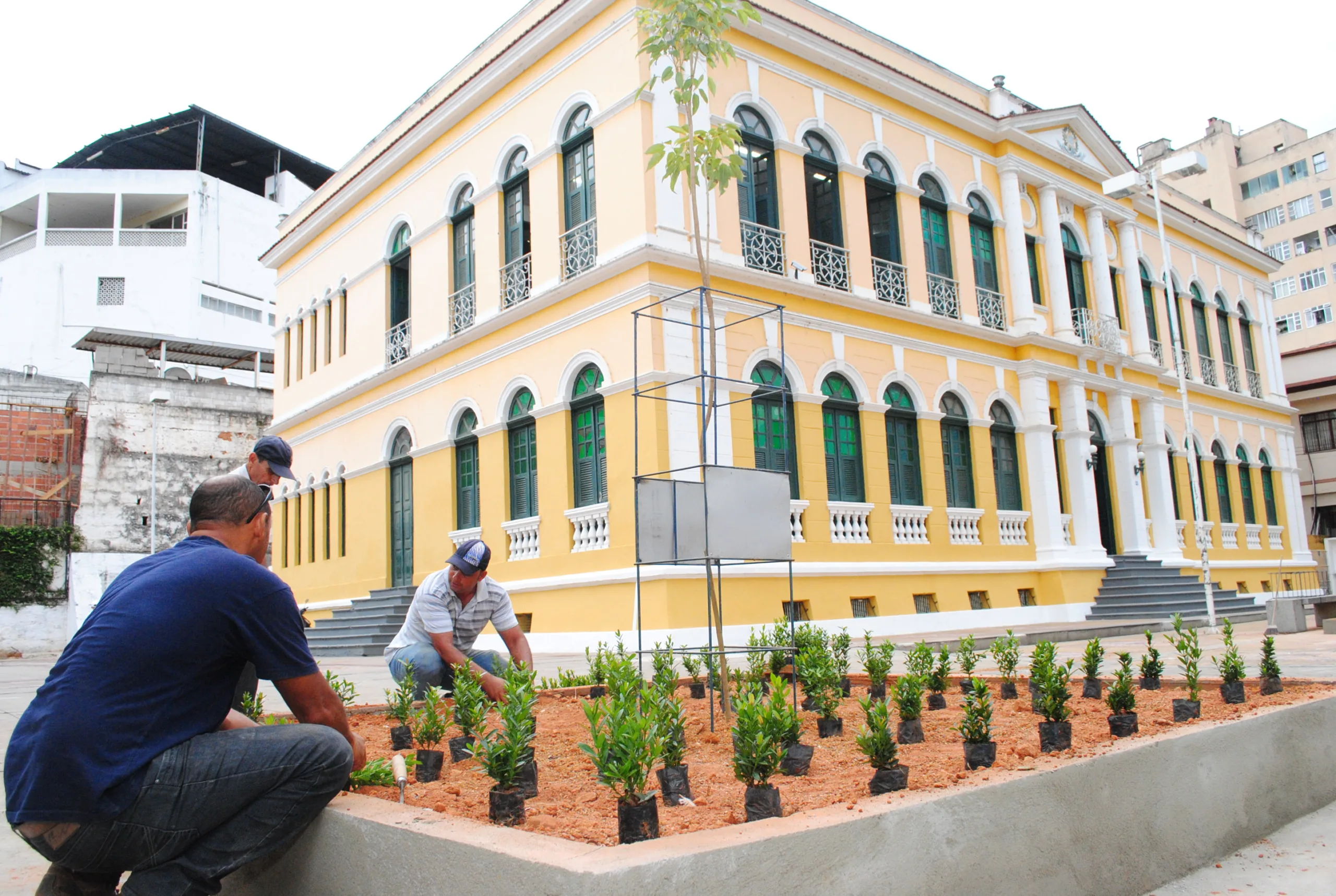 Árvores ornamentais são plantadas na praça Jerônimo Monteiro em Cachoeiro