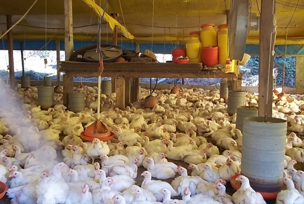 Foto: Arquivo