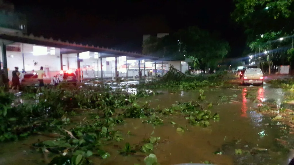 Temporal com granizo derruba árvores e deixa estragos em Colatina