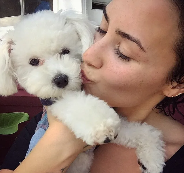 Ataque de coiotes é apontado como a causa da morte do cachorro de Demi Lovato