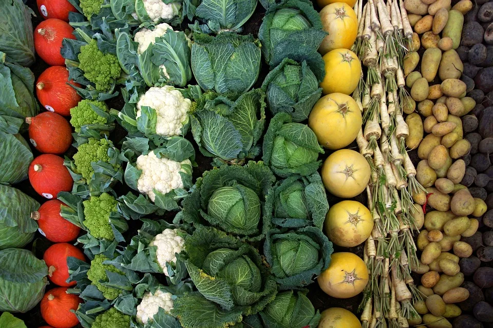 Alimentos anticâncer que não podem faltar no seu cardápio