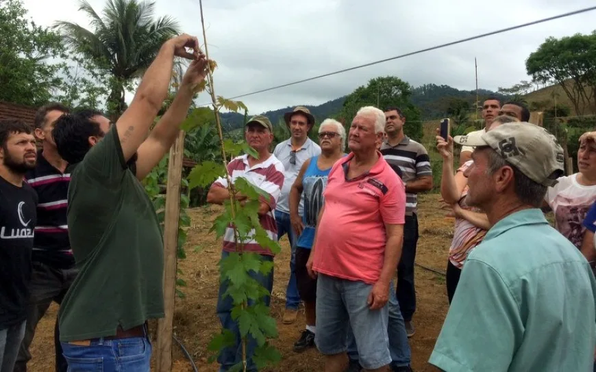 Agricultores recebem treinamento sobre cultivo de uva em Guarapari