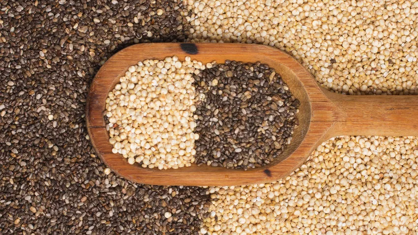 Superfood Chia and Quinoa seeds into a spoon