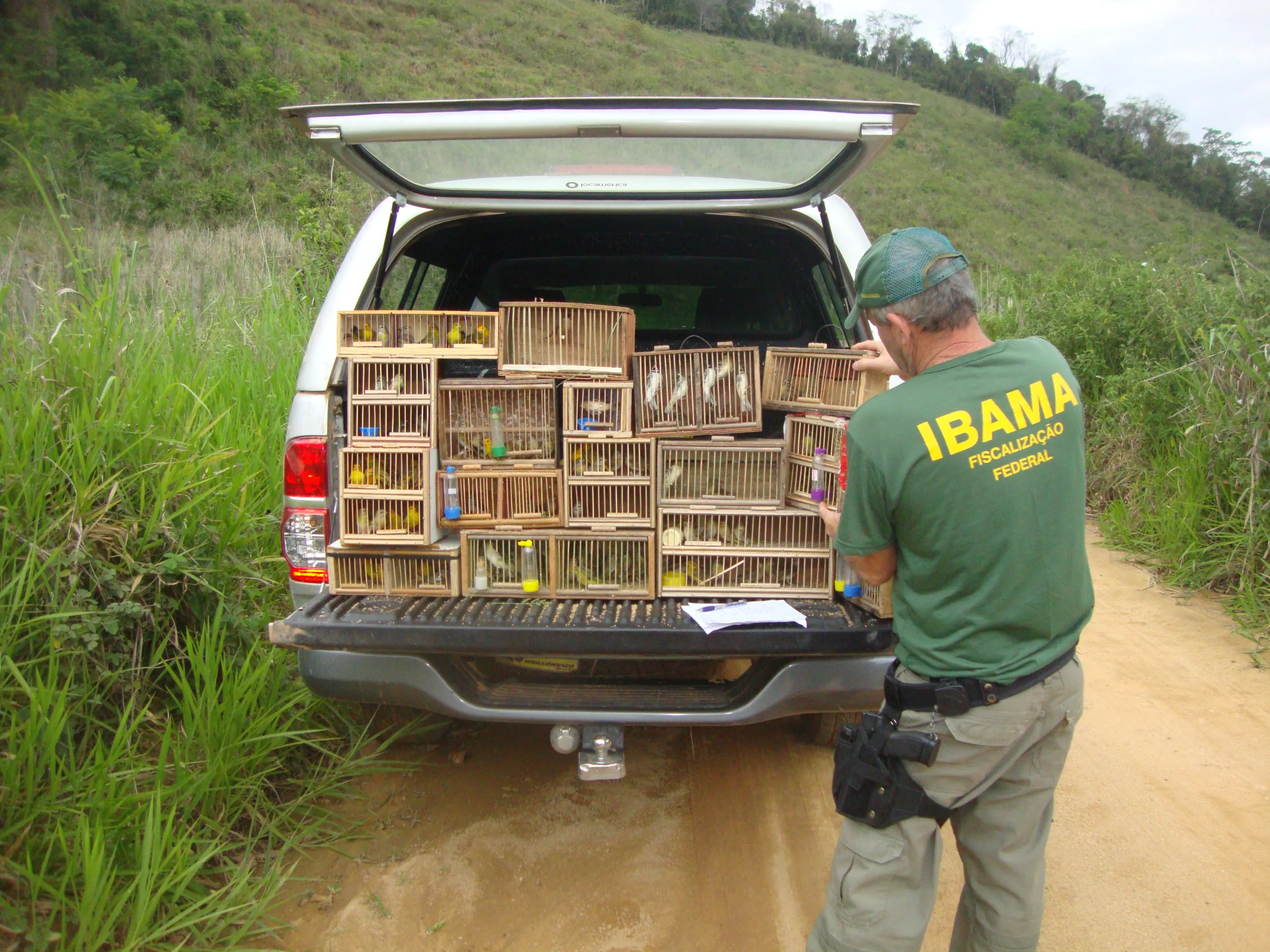 Ibama repassa competência de gestão da fauna no Espírito Santo para Iema