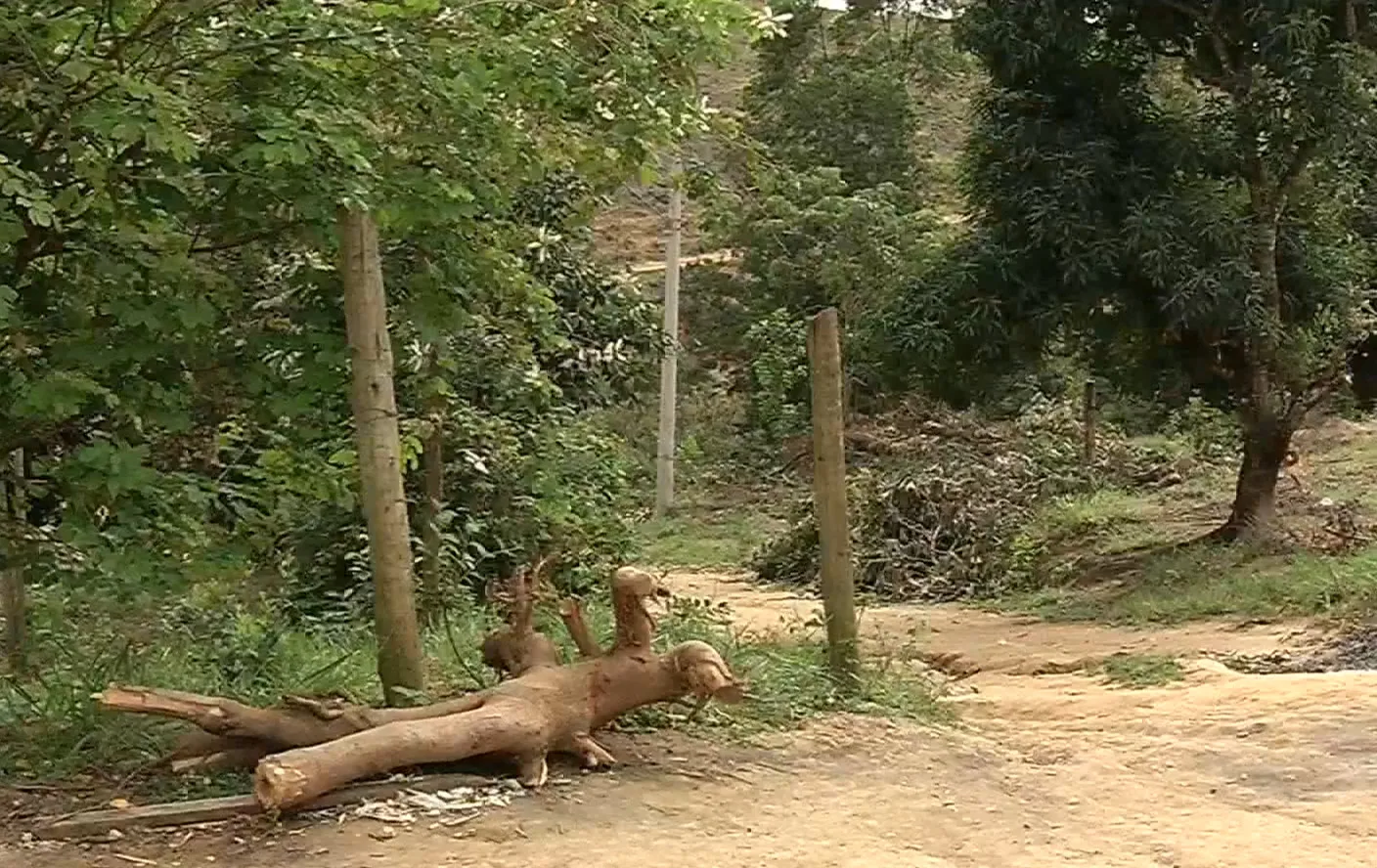 Três amigos são sequestrados em Cariacica e assassinados na Serra