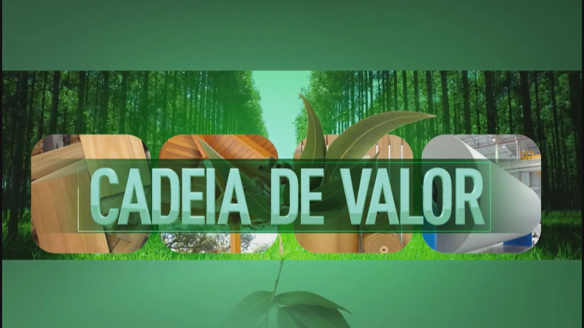 “Cadeia de Valor”: série mostrará benefícios das florestas plantadas no ES