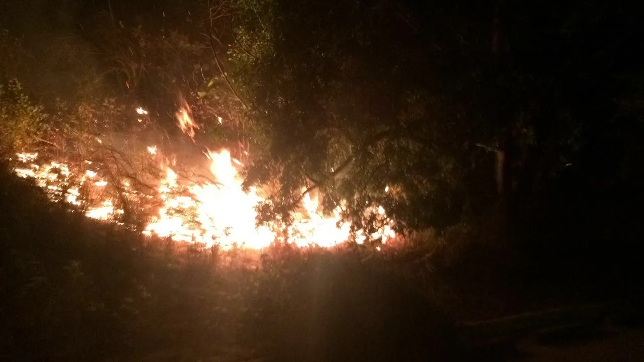 Incêndio atinge área de vegetação no balneário de Castelhanos em Anchieta