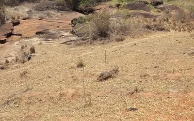 Irrigação está proibida em quatro municípios da região serrana por causa da seca