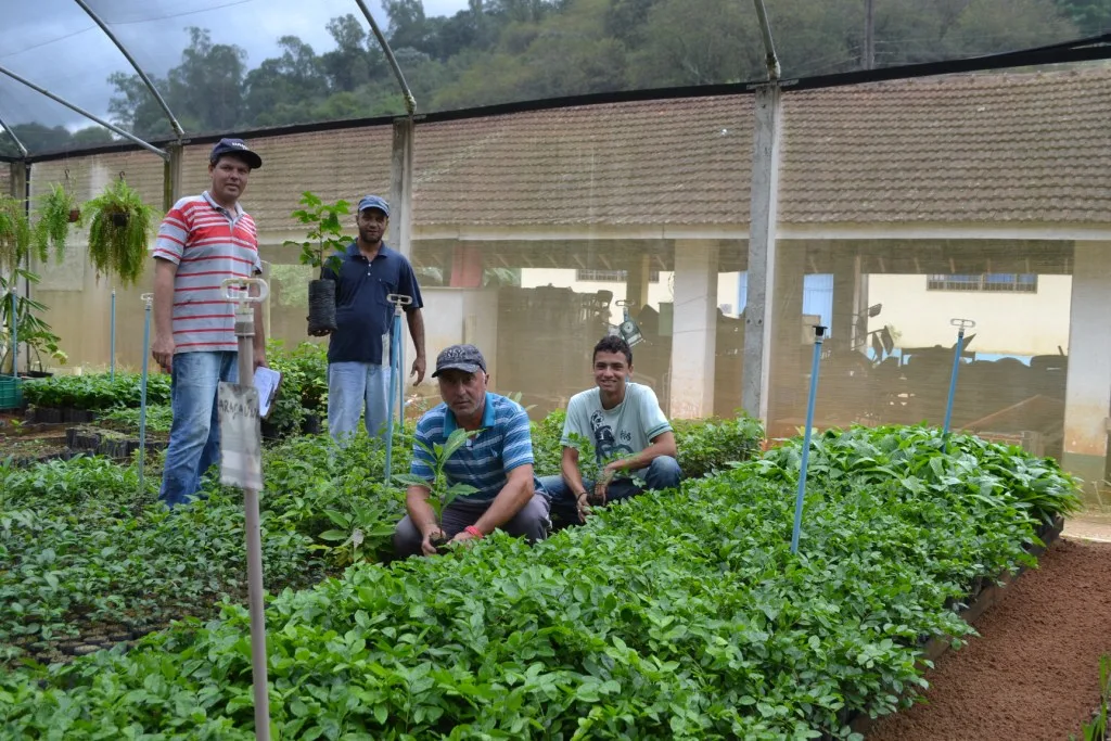 É tempo de seca, mas Alfredo Chaves já produziu mais de 300 mil mudas em viveiro municipal