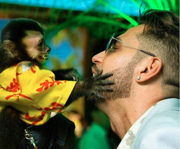 Emocionado, Latino mostra diamante que fez com cinzas de seu macaco Twelves