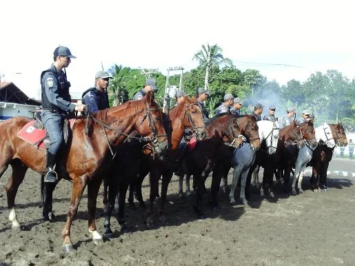 Exames comprovam mormo em mais cinco cavalos no ES; 16 serão sacrificados