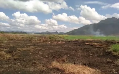 Incêndio em área de turfa na Serra pode ser extinto ainda nesta quarta-feira, garante Defesa Civil