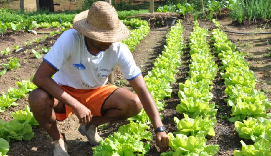 Conselho Monetário Nacional flexibiliza regras para concessão de crédito rural para pequenos produtores