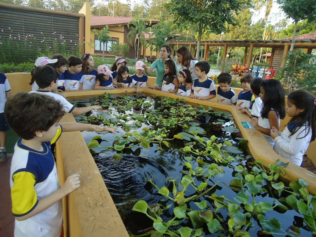 Projeto Bioférias oferece oficinas com foco em educação ambiental