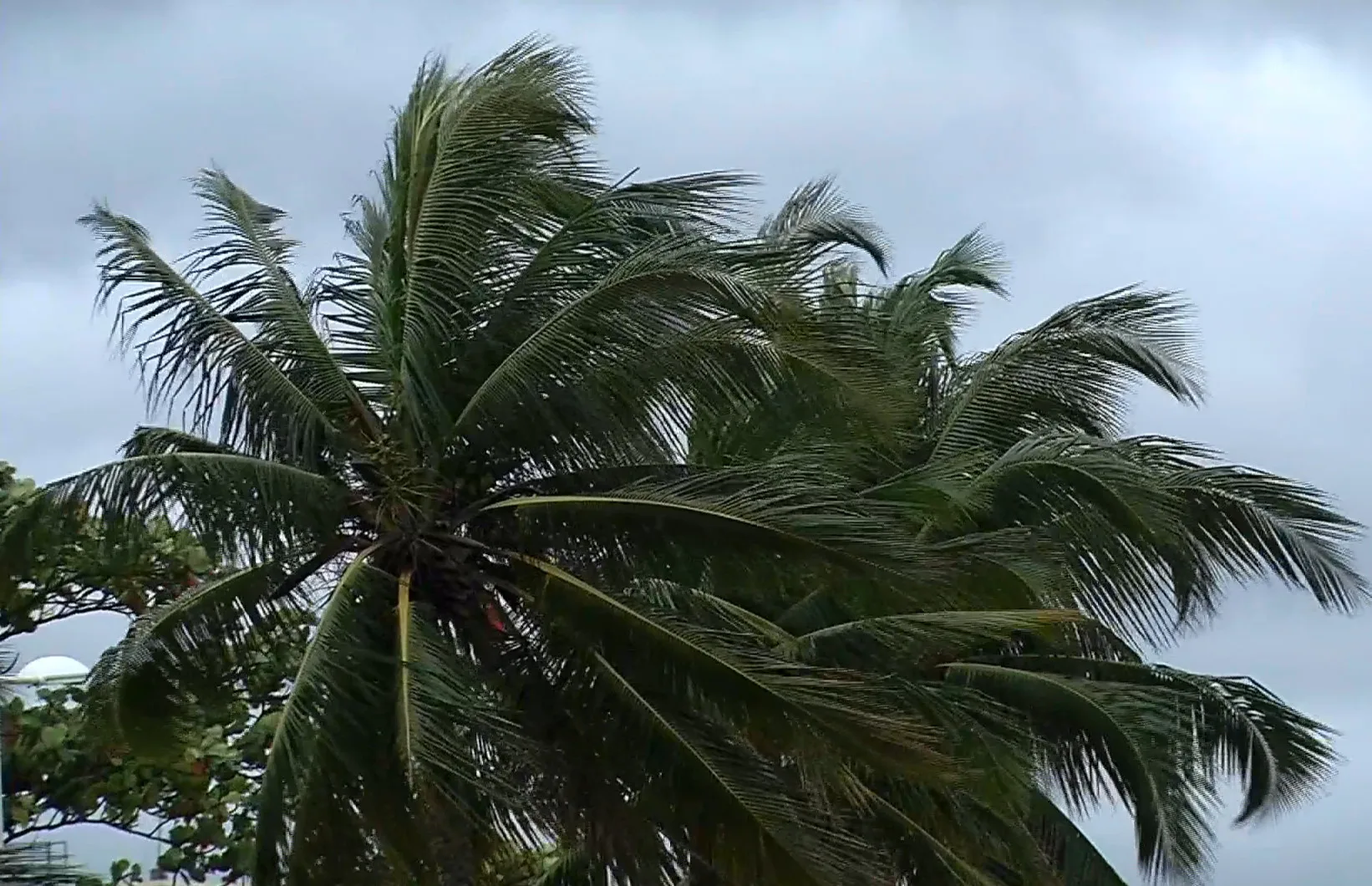 Frio e muito vento: ciclone extratropical se forma na costa do ES e RJ