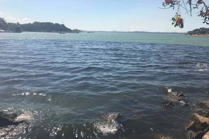 Resultado de análise de contaminação em praia de Vitória sai na sexta