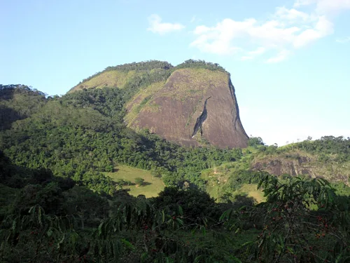 Festival de Cinema Ambiental e Sustentável de Burarama abre inscrições nesta segunda