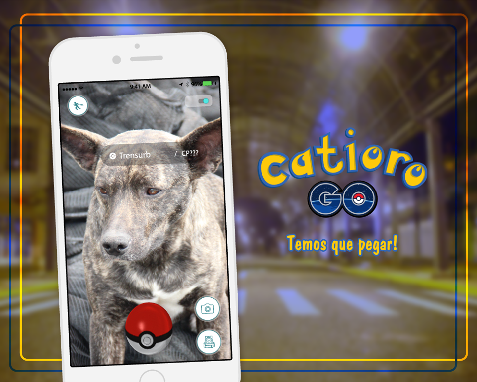 Prefeitura cria campanha "Catioro GO!" para estimular a adoção de animais carentes