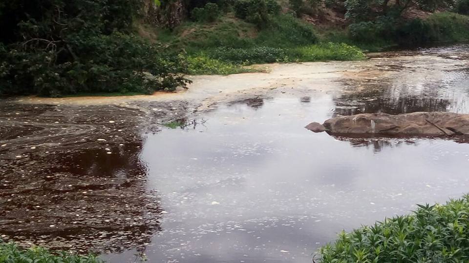 Desastre ambiental atinge rio e captação de água é interrompida no interior de Cachoeiro