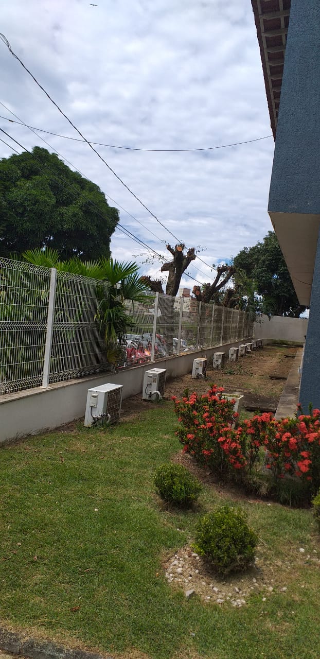 Poda de árvores em frente a Prefeitura de Guarapari provoca questionamentos