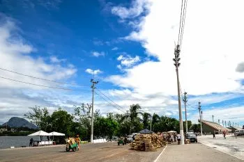 Venda de Palmito no Sambão