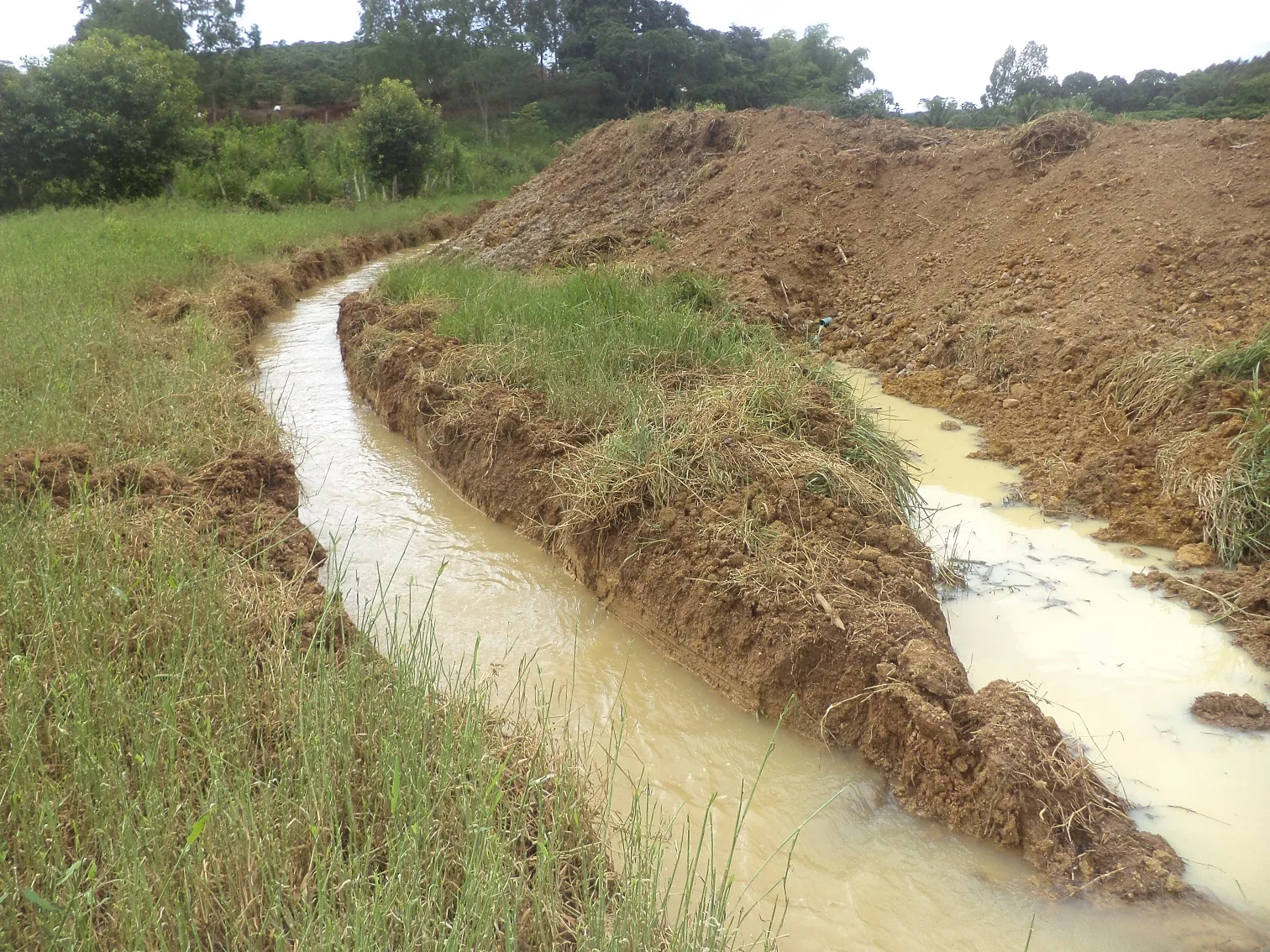 Falta de chuva faz aumentar mais de 185% as ocorrências de crime ambiental