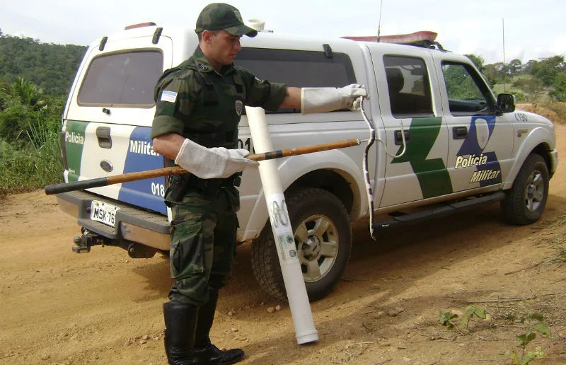 Funcionários encontram cobra dentro de empresa no centro de Itarana